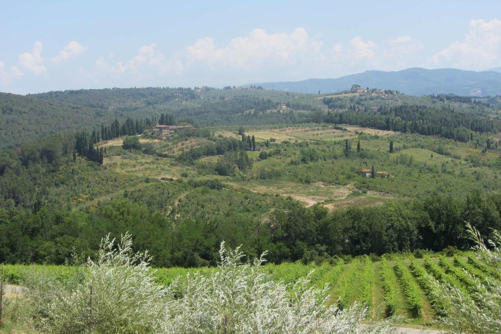 Winery Houses In Chianti Mercatale Val Di Pesa Cameră foto